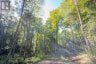 688 PRINCE ROAD E, Madawaska Valley, Ontario, K0J2N0 (ID X13680520)