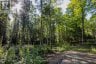 688 PRINCE ROAD E, Madawaska Valley, Ontario, K0J2N0 (ID X13680520)