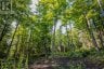 688 PRINCE ROAD E, Madawaska Valley, Ontario, K0J2N0 (ID X13680520)