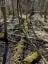 688 PRINCE ROAD E, Madawaska Valley, Ontario, K0J2N0 (ID X13680520)