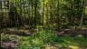 688 PRINCE ROAD E, Madawaska Valley, Ontario, K0J2N0 (ID X13680520)