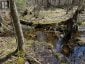 688 PRINCE ROAD E, Madawaska Valley, Ontario, K0J2N0 (ID X13680520)