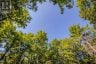 688 PRINCE ROAD E, Madawaska Valley, Ontario, K0J2N0 (ID X13680520)