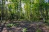 688 PRINCE ROAD E, Madawaska Valley, Ontario, K0J2N0 (ID X13680520)