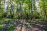 688 PRINCE ROAD E, Madawaska Valley, Ontario, K0J2N0 (ID X13680520)