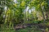 688 PRINCE ROAD E, Madawaska Valley, Ontario, K0J2N0 (ID X13680520)
