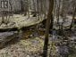 688 PRINCE ROAD E, Madawaska Valley, Ontario, K0J2N0 (ID X13680520)