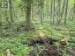688 PRINCE ROAD E, Madawaska Valley, Ontario, K0J2N0 (ID X13680520)