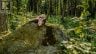 688 PRINCE ROAD E, Madawaska Valley, Ontario, K0J2N0 (ID X13680520)