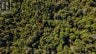 688 PRINCE ROAD E, Madawaska Valley, Ontario, K0J2N0 (ID X13680520)
