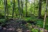 688 PRINCE ROAD E, Madawaska Valley, Ontario, K0J2N0 (ID X13680520)