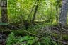 688 PRINCE ROAD E, Madawaska Valley, Ontario, K0J2N0 (ID X13680520)