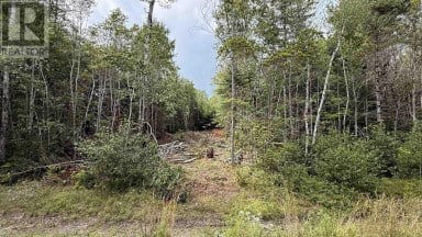 Lot S-2 Miner Meadow Road Sunken Lake Nova Scotia photo 3