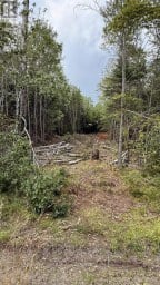 Lot S-2 Miner Meadow Road Sunken Lake Nova Scotia photo 4