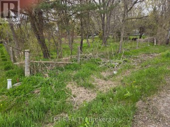 LOT METRO ROAD N Georgina (Historic Lakeshore Communities) Ontario photo 8