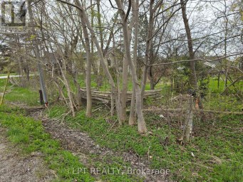 LOT METRO ROAD N Georgina (Historic Lakeshore Communities) Ontario photo 9
