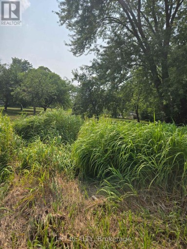 N/A METRO ROAD N, Georgina (Historic Lakeshore Communities), Ontario, L4P3C8