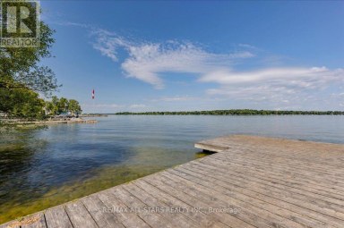 27182 WOODBINE AVENUE Georgina (Historic Lakeshore Communities) Ontario photo 25