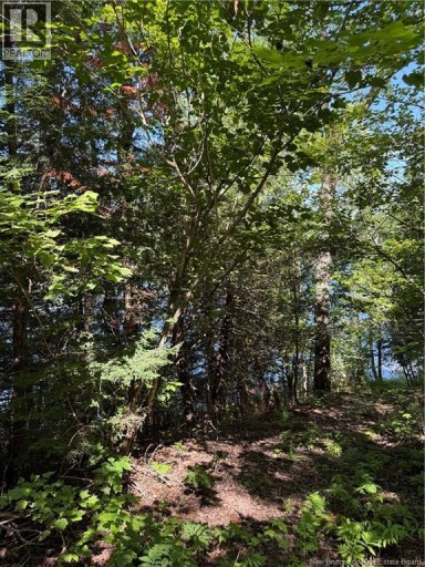 2467 Route 118, McKinleyville, New Brunswick, E9E2H4