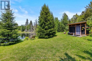1009 SUMMERVILLE ROAD Highlands East (Glamorgan) Ontario photo 31