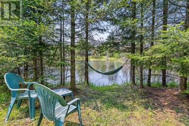 1009 SUMMERVILLE ROAD Highlands East (Glamorgan) Ontario photo 37