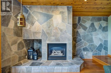 141 JOZO WEIDER BOULEVARD Blue Mountains Ontario photo 18