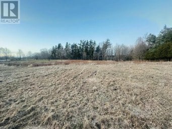 10231 OLD PINECREST ROAD Brampton (Northwest Brampton) Ontario photo 3