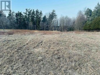 10231 OLD PINECREST ROAD Brampton (Northwest Brampton) Ontario photo 5