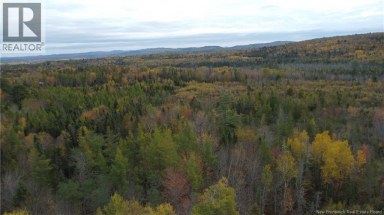 339 McMinn Road Rollingdam New Brunswick photo 4