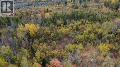 339 McMinn Road Rollingdam New Brunswick photo 7