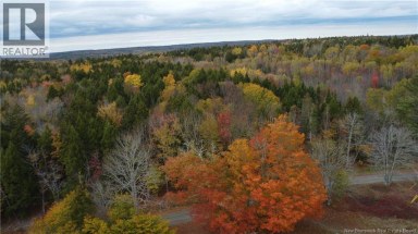 339 McMinn Road Rollingdam New Brunswick photo 8