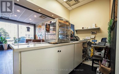 355 PITFIELD ROAD Toronto (Agincourt South-Malvern West) Ontario photo 6