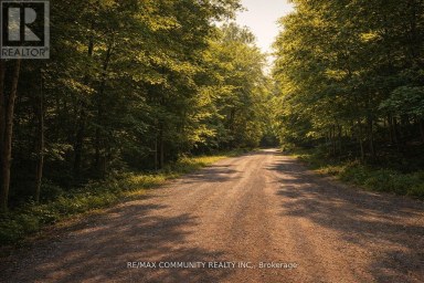 12 CON CONCESSION Highlands East (Monmouth) Ontario photo 1