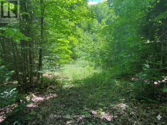 12 CON CONCESSION Highlands East (Monmouth) Ontario photo 3
