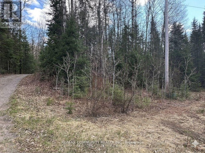 12 CON CONCESSION, Highlands East (Monmouth), Ontario, K0L3C0