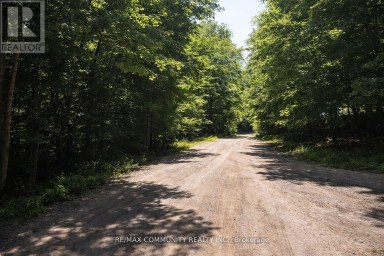 12 CON CONCESSION Highlands East (Monmouth) Ontario photo 5
