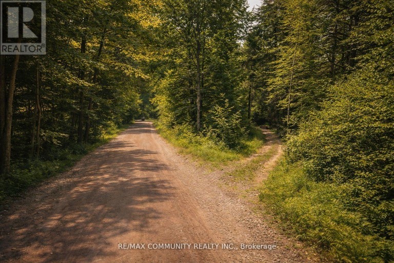 12 CON CONCESSION, Highlands East (Monmouth), Ontario, K0L3C0