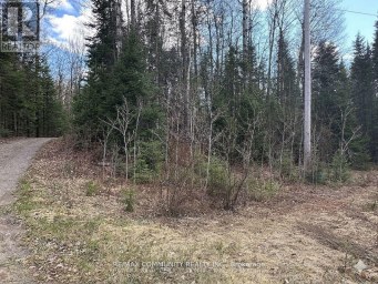 12 CON CONCESSION Highlands East (Monmouth) Ontario photo 7