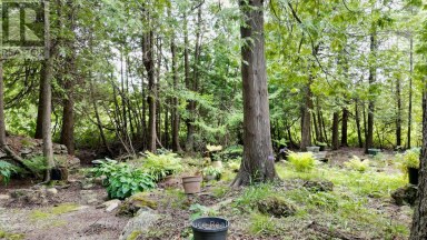 202 WHISKEY HARBOUR ROAD Northern Bruce Peninsula Ontario photo 28