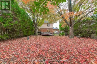 59 BOBMAR ROAD Toronto (Highland Creek) Ontario photo 45