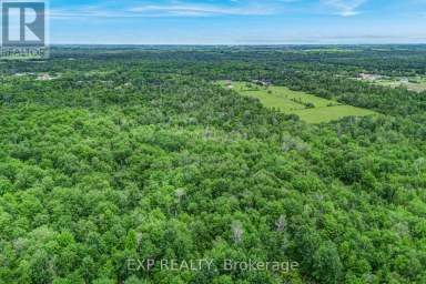 22262 HIGHWAY 48 East Gwillimbury Ontario photo 6