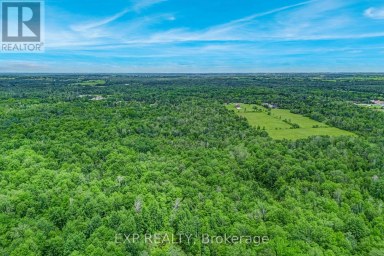 22262 HIGHWAY 48 East Gwillimbury Ontario photo 7