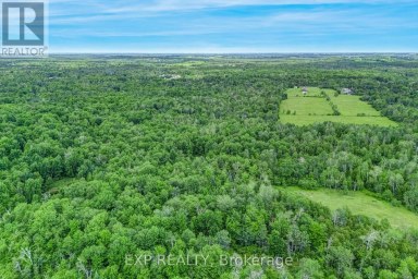 22262 HIGHWAY 48 East Gwillimbury Ontario photo 8