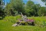 10930 FRONT ROAD, Loyalist (amherst Island), Ontario, K0H2S0 (ID X13686278)
