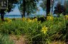10930 FRONT ROAD, Loyalist (amherst Island), Ontario, K0H2S0 (ID X13686278)