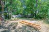 218 Willow AVE, Sault Ste. Marie, Ontario, P6B5B5 (ID SM262218)