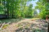 218 Willow AVE, Sault Ste. Marie, Ontario, P6B5B5 (ID SM262218)