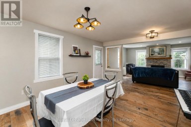 56 MAIN STREET E Grey Highlands Ontario photo 8