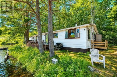 11107 DEVILS LAKE ROAD Minden Hills (Lutterworth) Ontario photo 2