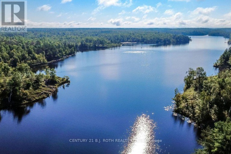 11107 DEVILS LAKE ROAD, Minden Hills (Lutterworth), Ontario, K0M2K0